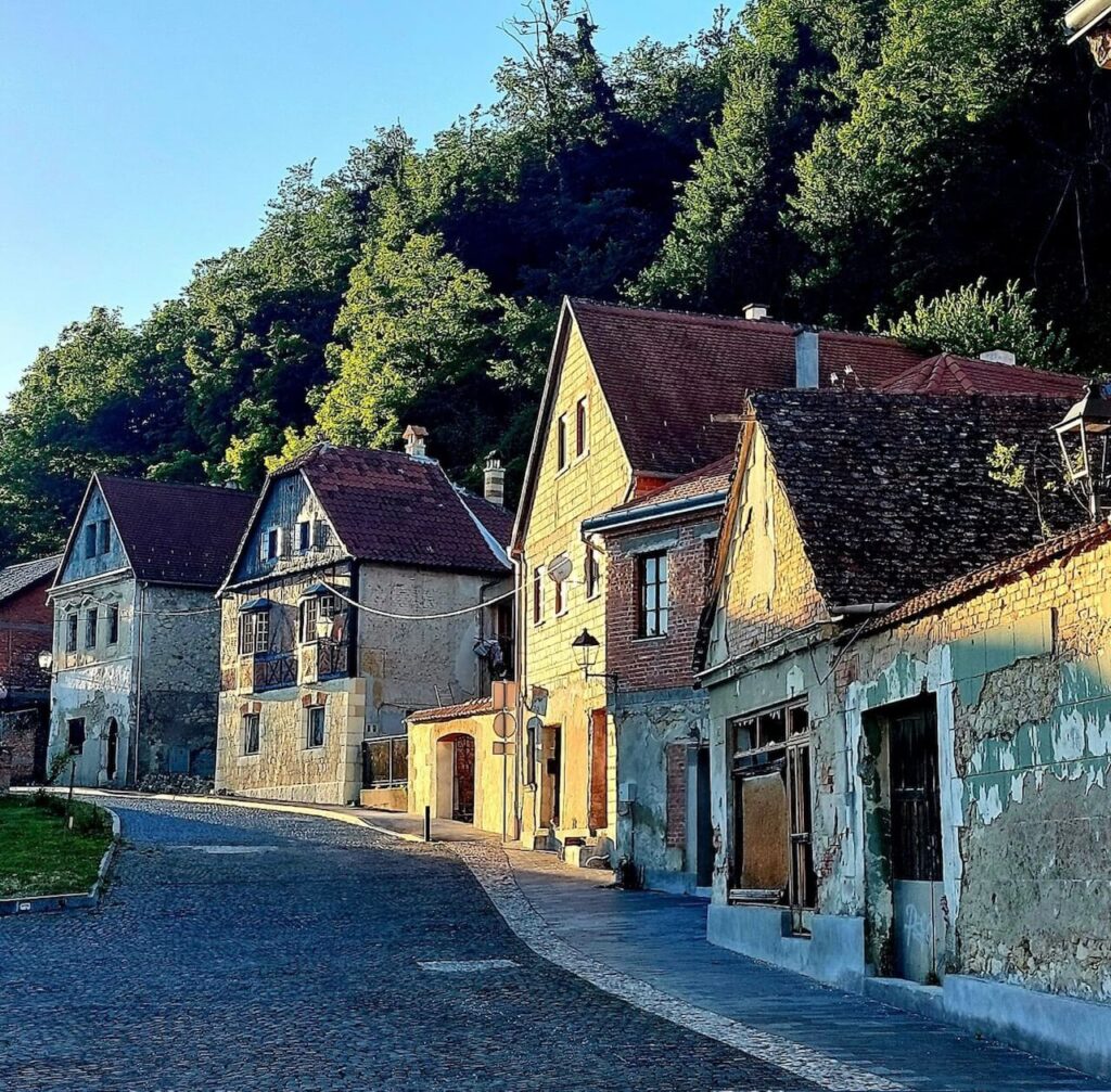 kuće u nizu, a iza njih šuma u Hrvatskoj Kostajnici